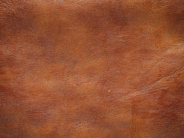 皮革應(yīng)該怎么保養(yǎng)，可以用的久一些？